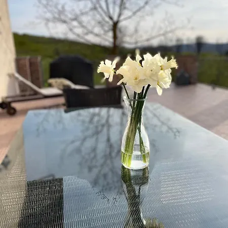 Relaxing House In